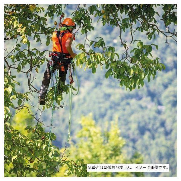 送料無料 ディステル ツリークライミング用スパイク 7900540 樹木の伐採 ツリースパイク ツリークライミングスパイク 山の管理手入れの画像