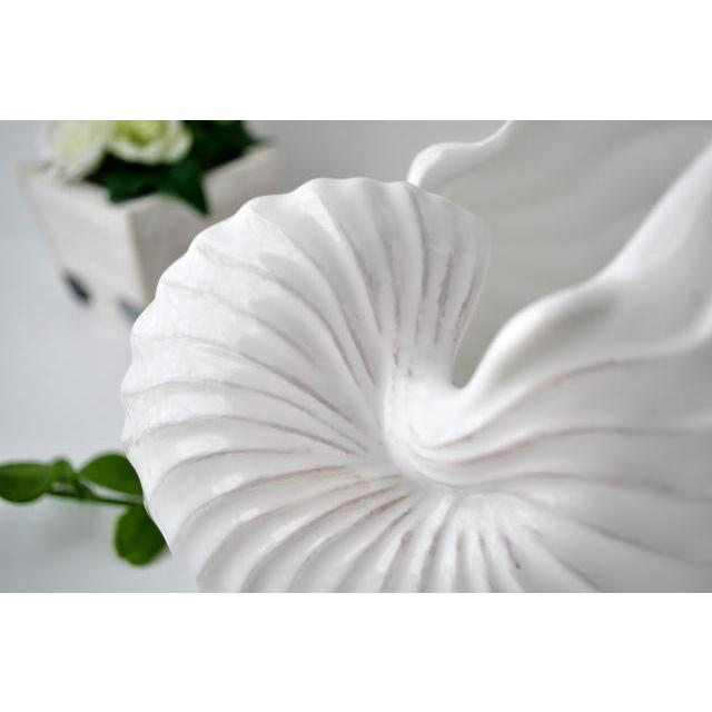 フラワーベースシェル型 陶器 白 オウム貝 ホワイト インテリア 花瓶 オブジェ 西海岸風 かわいい マリン｜spoint｜03