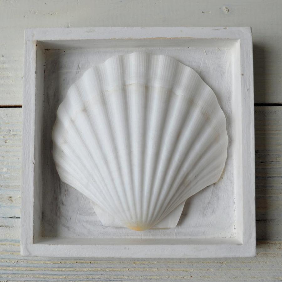 シェルの壁掛け 壁飾り かわいい インテリア アクセント ギフト 西海岸 コースタルリビング | 