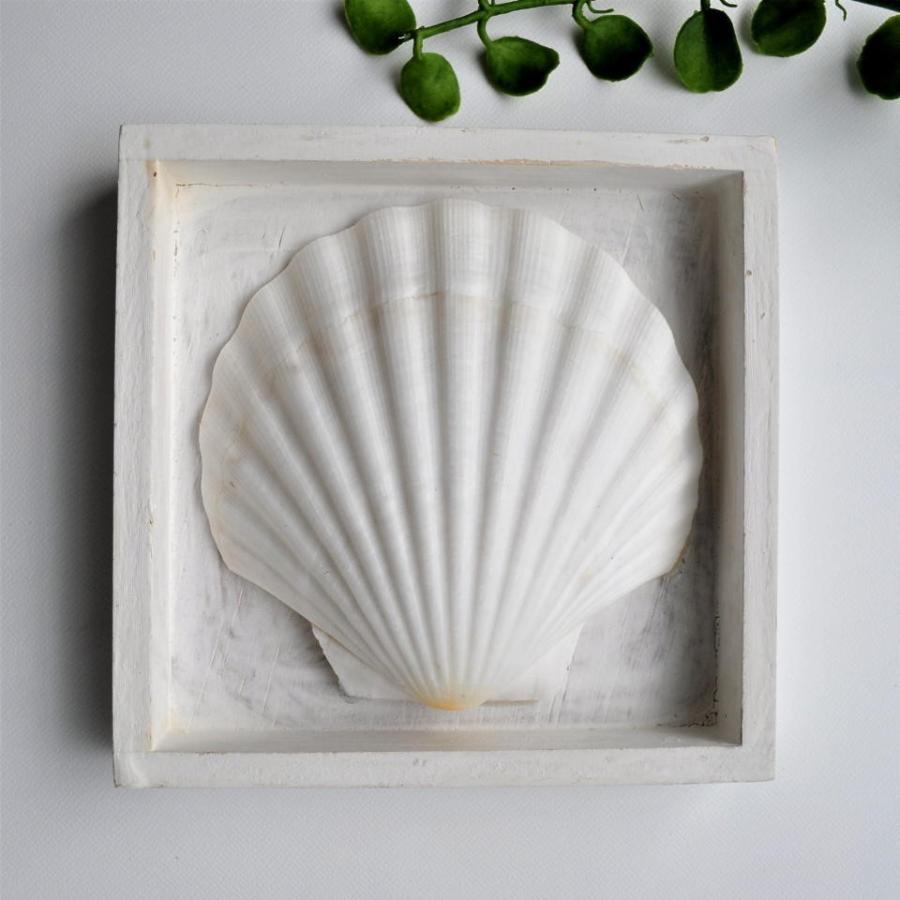 シェルの壁掛け 壁飾り かわいい インテリア アクセント ギフト 西海岸 コースタルリビング |  | 03