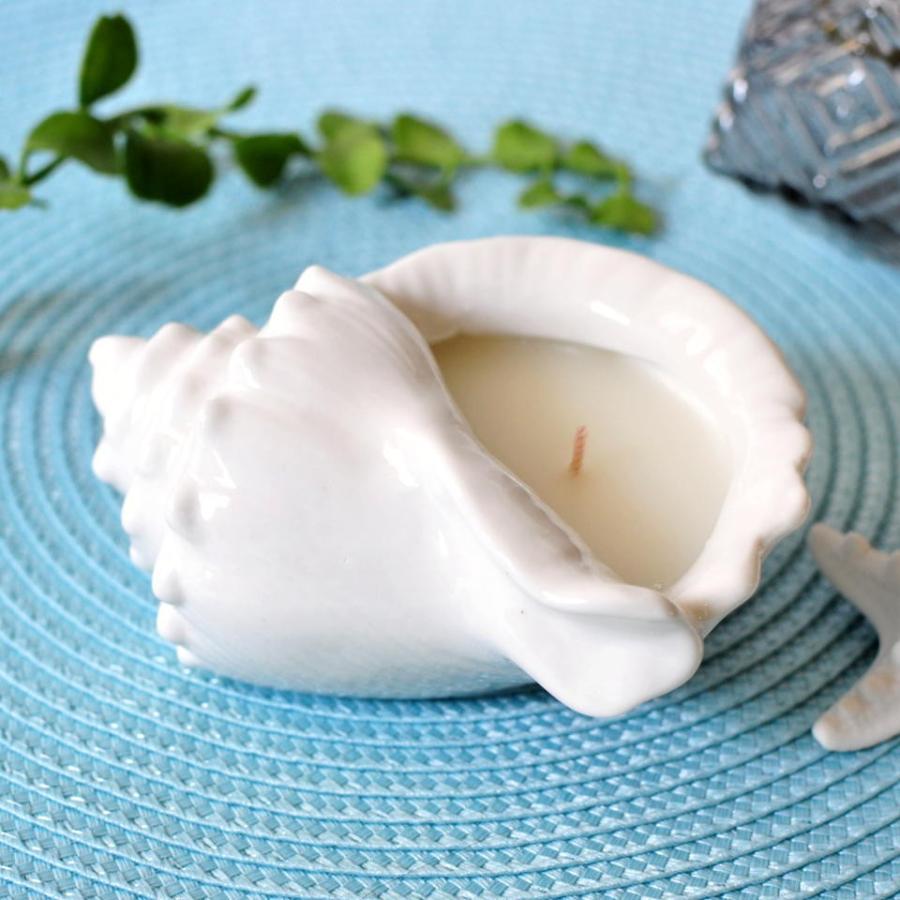 シェルキャンドル Cタイプ ZODAX フレグランス アロマ リゾート インテリア 西海岸　 |  | 01