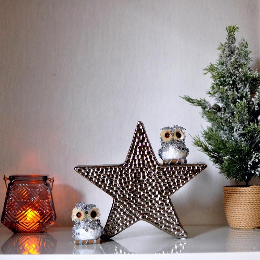 メタリックシルバースターオブジェ　クリスマス　男前　ビーチハウス　北欧　スター　シルバー | 