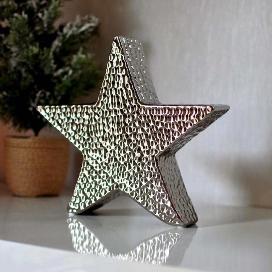 メタリックシルバースターオブジェ　クリスマス　男前　ビーチハウス　北欧　スター　シルバー |  | 01