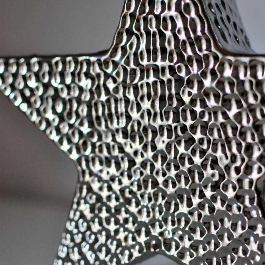 メタリックシルバースターオブジェ　クリスマス　男前　ビーチハウス　北欧　スター　シルバー |  | 03