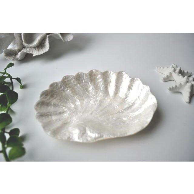 カピスシェルトレイ 浅めタイプ おしゃれ インテリア ギフト サニタリー 西海岸 コースタルリビング |  | 01