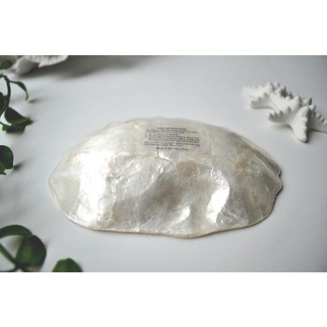 カピスシェルトレイ 浅めタイプ おしゃれ インテリア ギフト サニタリー 西海岸 コースタルリビング |  | 02