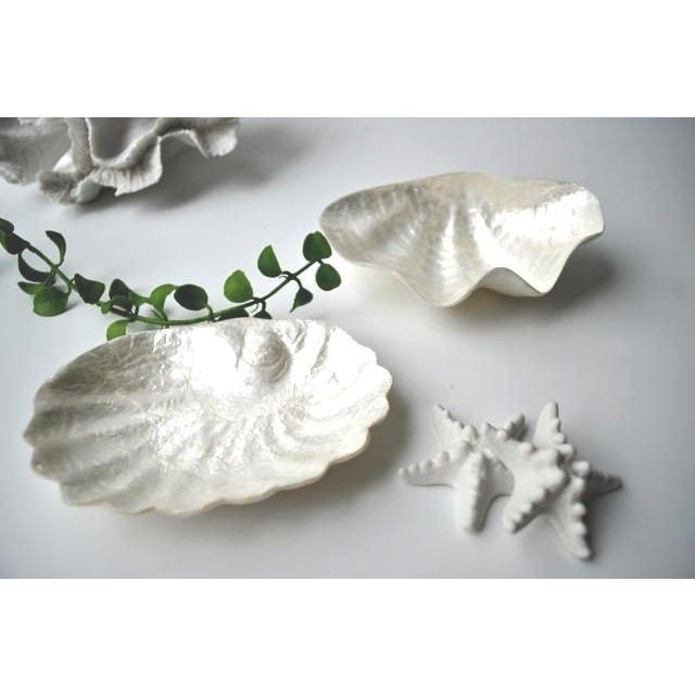 カピスシェルトレイ 浅めタイプ おしゃれ インテリア ギフト サニタリー 西海岸 コースタルリビング |  | 03