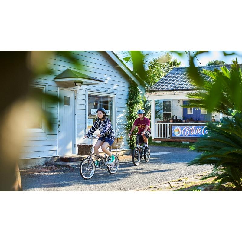 DAHON（ダホン） (西濃支店止め送料無料一部割引) DAHON Boardwalk D7