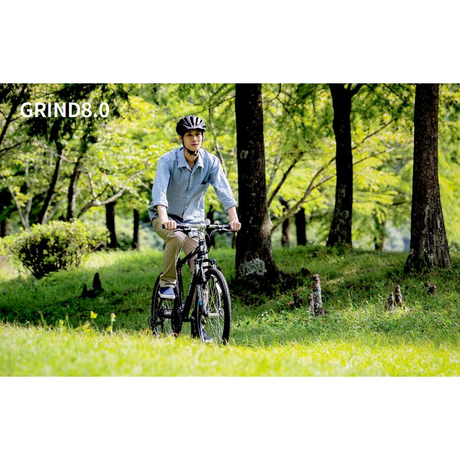 ルイガノ (西濃支店止め送料無料一部割引) グラインド8.0 2025