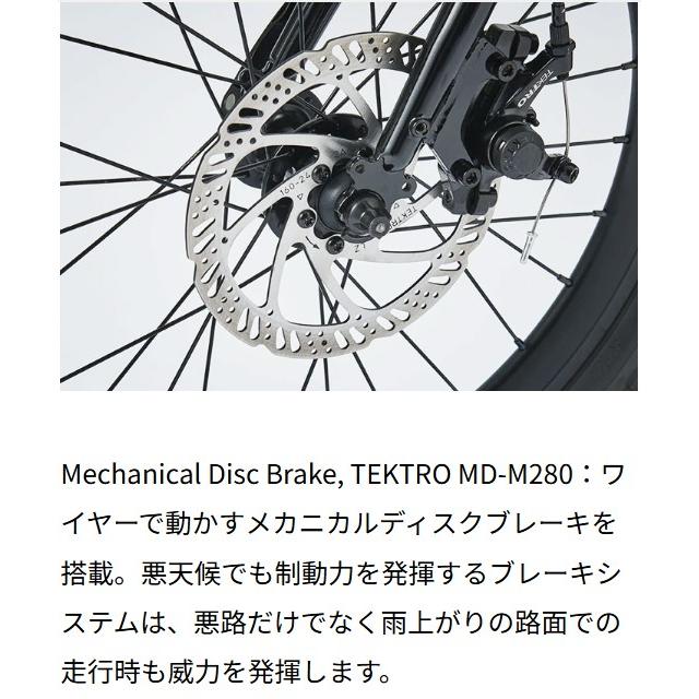 tern (西濃支店止め送料無料一部割引) ターン AMP F1 アンプ エフワン
