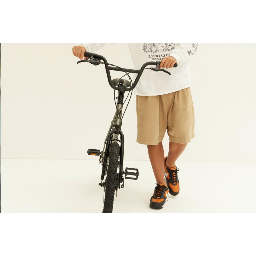 tern (西濃支店止め送料無料一部割引) ターン AMP F1 アンプ エフワン