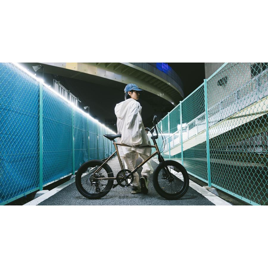 tern (西濃支店止め送料無料一部割引) ターン AMP F1 アンプ エフワン