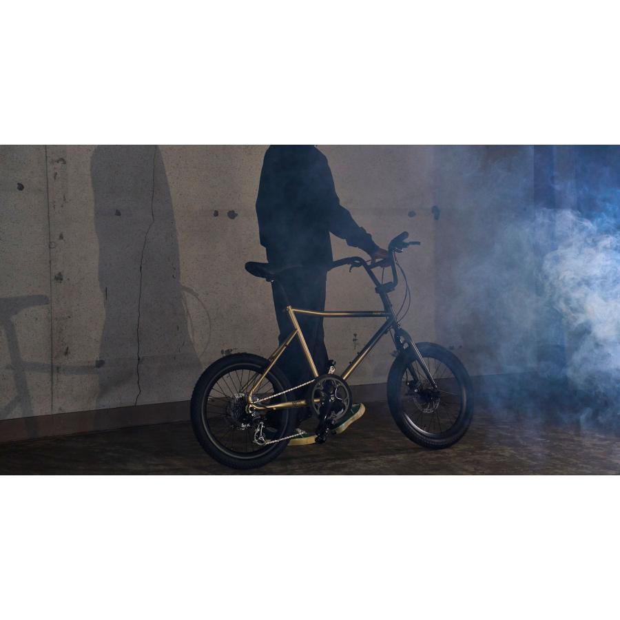 tern (西濃支店止め送料無料一部割引) ターン AMP F1 アンプ エフワン