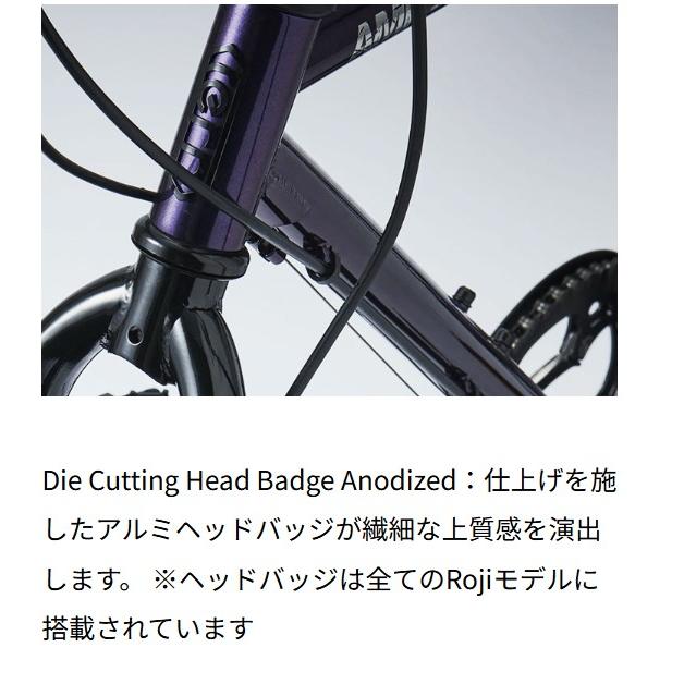 tern (西濃支店止め送料無料一部割引) ターン AMP F1 アンプ エフワン