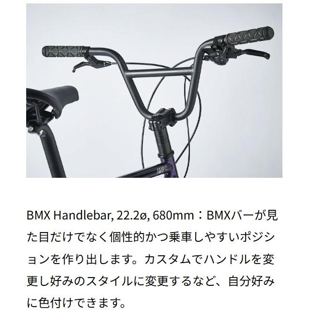 tern (西濃支店止め送料無料一部割引) ターン AMP F1 アンプ エフワン
