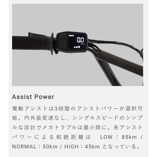 (西濃支店止め送料無料一部割引)FUJI MX-E 2025 フジ  E-BIKE 電動アシスト 自転車 確保在庫有 完成車の画像