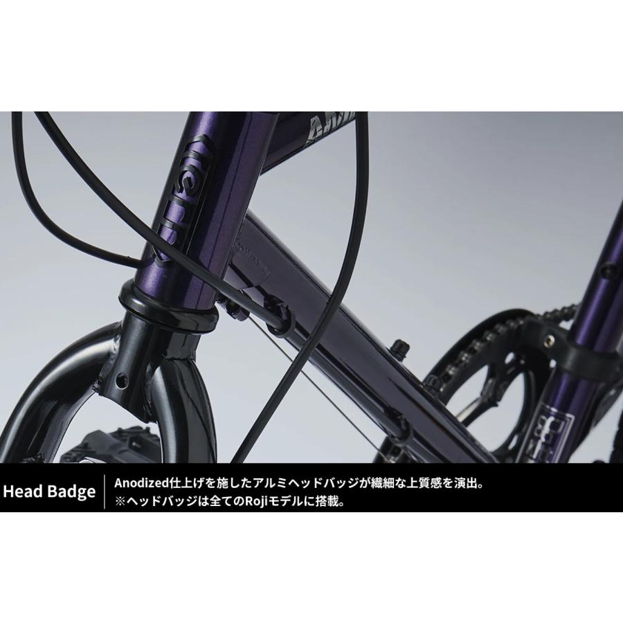 tern (西濃支店止め送料無料) TERN ターン AMP F1 新カラーNEW tern (西濃支店止め送料無料) TERN ターン AMP F1 新カラーNEW