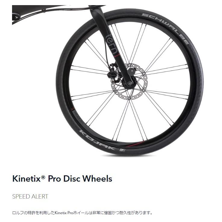 tern (西濃支店止め送料無料一部割引) TERN Verge P10 新色