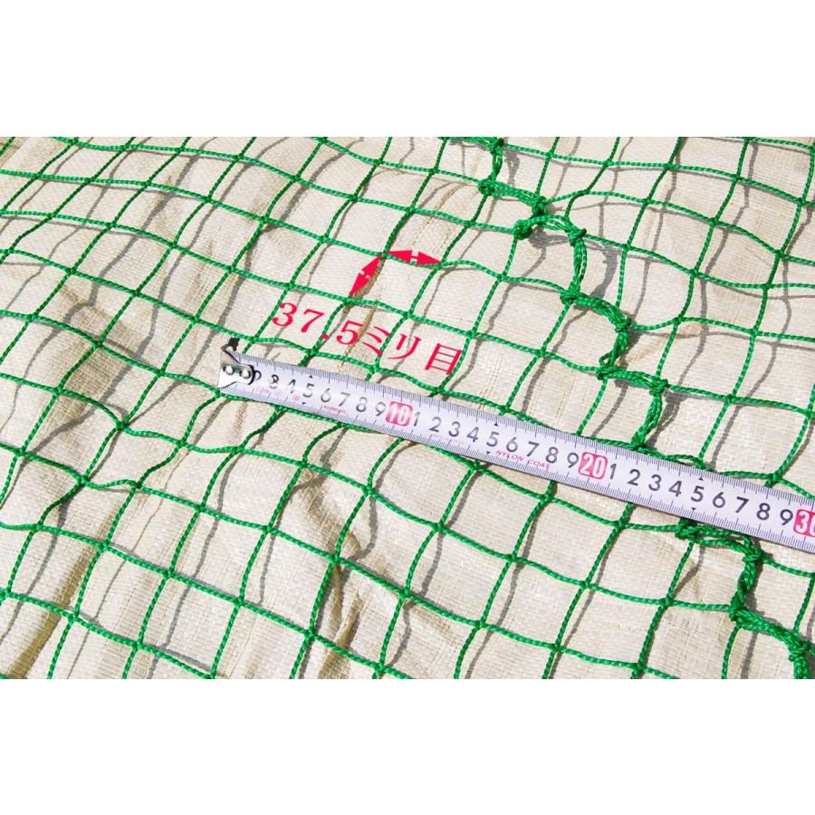 ネット 9m×9m、7m×3m セット 野球ネット（軟式用）3m×7m : スポーツ