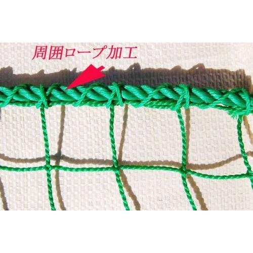 ネット　６ｍ×４ｍ 野球ネット（軟式用）4m×6m : スポーツネット設備 Store