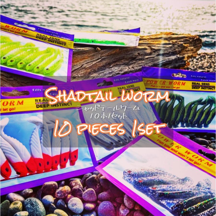最旬ダウン ワーム セット バス釣り シーバス ルアー ジグヘッド用 シャッドテールアジング カサゴ ブラックバス ヒラメ メバリング ソフトルアー 釣り ロックフィッシュ