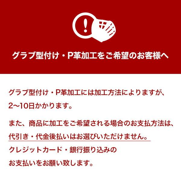 野球 ゼット ZETT キャッチャーミット ミット 限定 硬式 袋付き