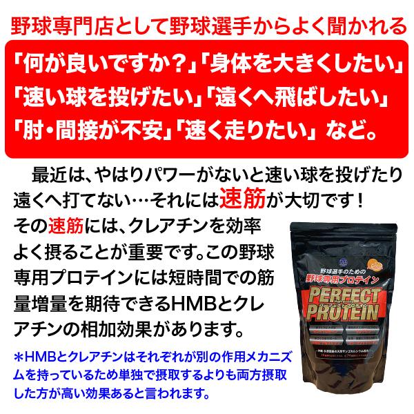 プロテイン 送料無料 野球 ホエイプロテイン クレアチン Hmb コラーゲン 配合 サプリメント 1kg 約40回分 Msoriginal01 スポーツアジリティー 通販 Yahoo ショッピング