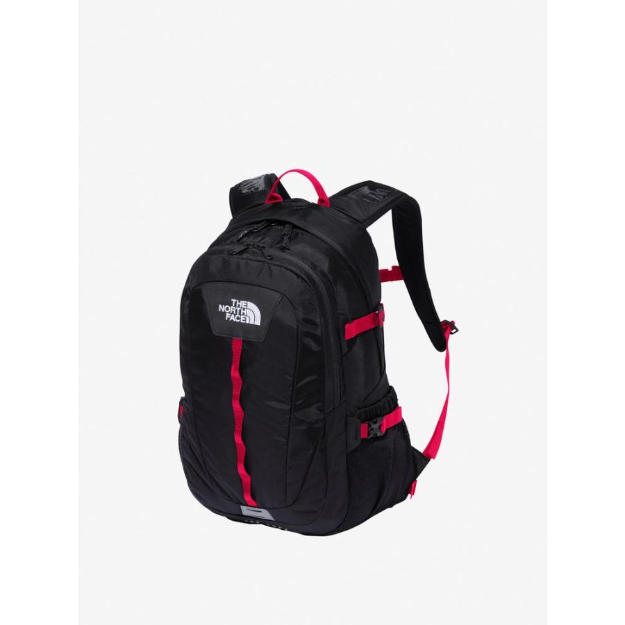 THE NORTH FACE ノースフェイス ホットショット スポーツバッグ