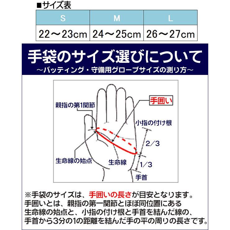 ミズノプロ バッティンググローブ 菊池涼介モデル 両手 ミズノ 野球 ソフトボール 手袋 一般 バッティング手袋 Mizuno 1ejea085 1ejea085 野球用品 スポーツショップムサシ 通販 Yahoo ショッピング