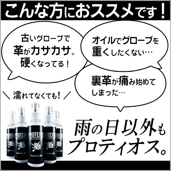 和牛JB プロティオス グローブトリートメント グラブオイル 野球 和牛JB プロティオス グローブトリートメント グラブオイル 野球