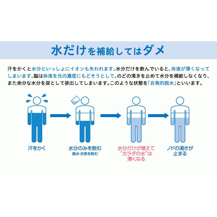 ポカリスエット 粉末 100リットル ポカリ 熱中症対策 ぽかり パウダー 大塚製薬 10リットル用 10個セット 36JPC50110 (Z)｜sports-otani｜06