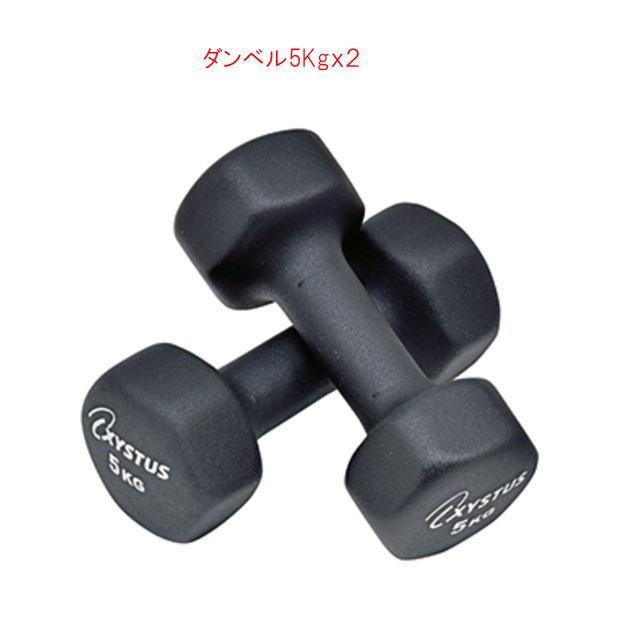 XYSTUS ダンベル 5kgx2個セット ラバーコーティング H7174 トーエー 