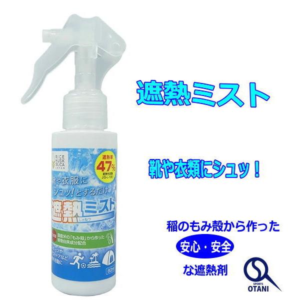 ゼット（ZETT） 遮熱スプレー 涼感・遮熱ミスト 80ml 暑さ対策 野球