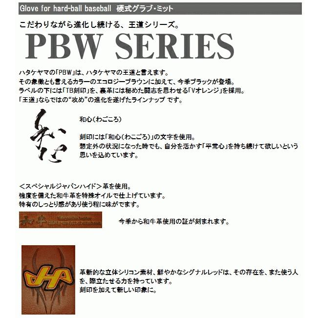 ハタケヤマ（HATAKEYAMA） キャッチャーミット 硬式 右投げ PBW-4208 