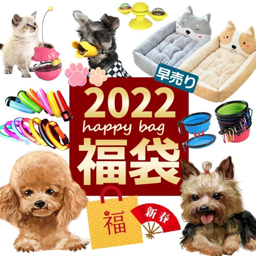福袋 2022 4点セット 中華のおせち贈り物 ペット用品 2021新発 猫 おもちゃ ハッピーバック ペット 在庫処分 送料無料 犬