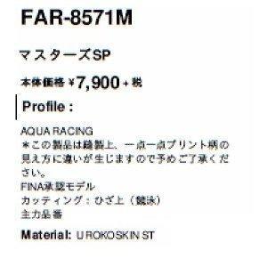 【特別価格・40%OFF】アリーナ 競泳水着 FAR8571M BKGN サイズ男M マスターズSP FINA承認｜sports-will｜03