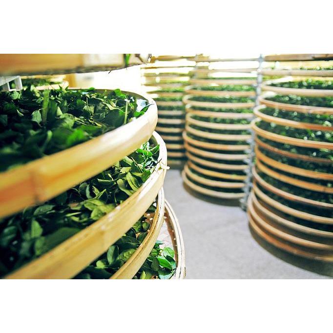 高級 武夷岩茶 岩茶果香肉桂 花香肉桂 烏龍茶 ウーロン茶 青茶 化粧箱