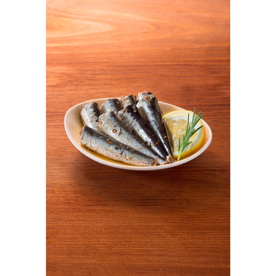 人気のファッションブランド 缶つま 日本近海獲り オイルサーディン 1259 キャンプ用品 食料品 フード Wantannas Go Id
