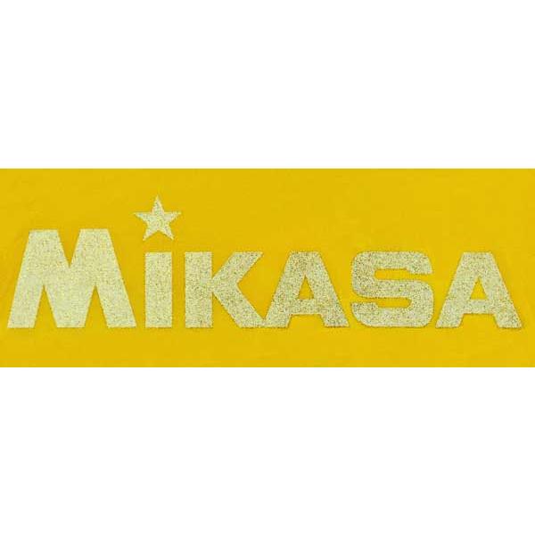 MIKASA レジャーバッグラメ入り ミカサ BA22 サイズ：42×37×14cm :BA22:スポーツガイドonline - 通販 -  Yahoo!ショッピング
