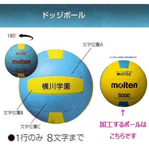 molten（モルテン） チーム名入りドッジボール J.D.B.A.全日本選手権