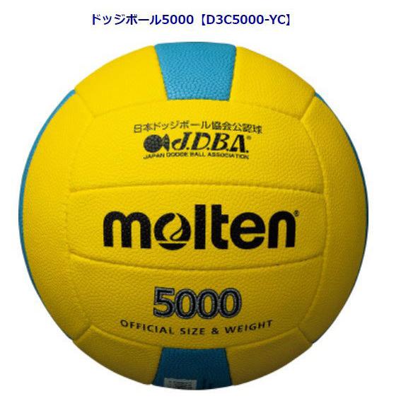 molten 個人名・フリーワード入りドッジボール 1個のみご注文の