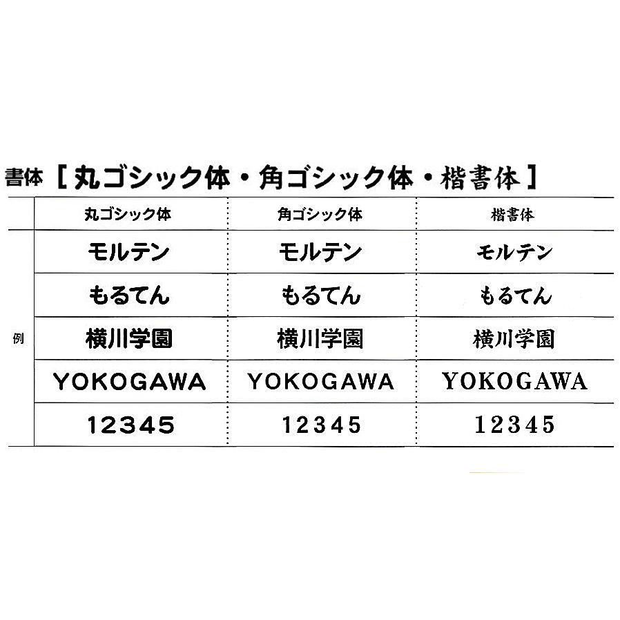 molten（モルテン） チーム名入りドッジボール J.D.B.A.全日本選手権