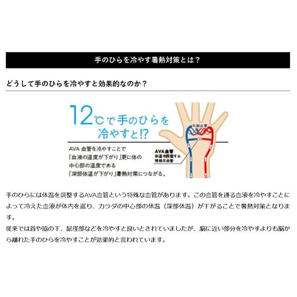 コアクーラー 両手用 Tekion Lab 夏の暑さ対策は手のひらを冷やせ デサント ネコポス送料無料 Dat9000 スポーツガイドonline 通販 Yahoo ショッピング