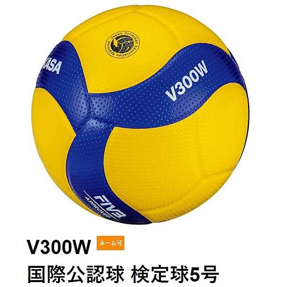 MIKASA（ミカサ） V300W 5号検定球 国際公認球 試合球 18枚パネル 一般