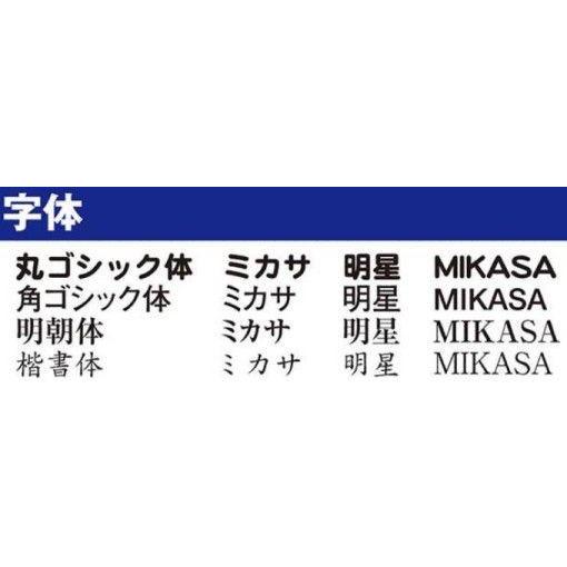MIKASA（ミカサ） チーム名ネーム入り軽量4号検定球 小学生用 V400W-L