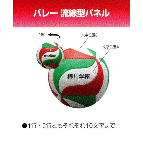 molten（モルテン） 個人名入り小学生用4号軽量試合球 1個のみご注文の