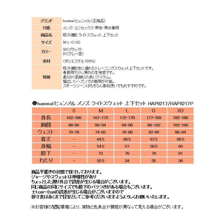 ヒュンメル スウェット 上下 メンズ トレーニングウェア パーカー HAP8217 HAP8217P 2カラー 吸汗速乾 ストレッチ 上下セット 薄手｜sportsjima｜12