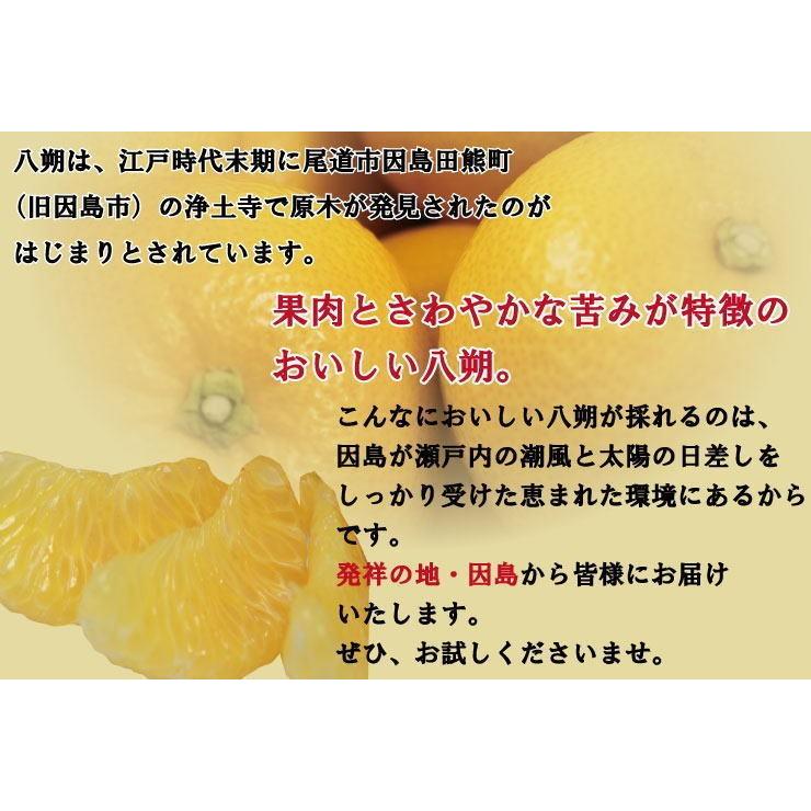 訳あり 八朔 はっさく レモン 産地 瀬戸内 しまなみ海道 広島県 尾道市