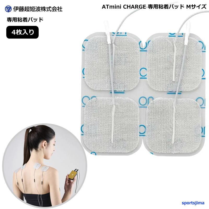 伊藤さん専用 ZX-（ゼッペケ）伊藤 (@inthezoo4) / Posts / X 伊藤専用！