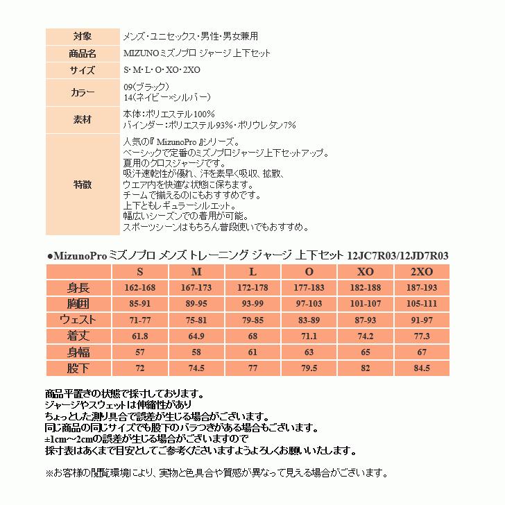 MIZUNO（ミズノ） ジャージ 上下 メンズ トレーニングウェア 野球